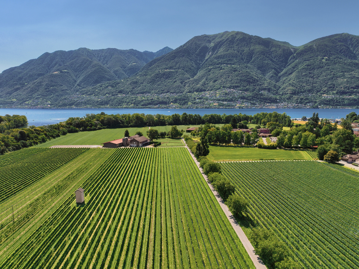 ascona-locarno_calendario_avvento25_premi26